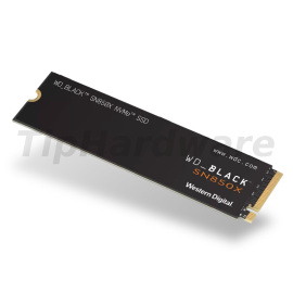 WD Black SN850X NVMe SSD 1 TB black [WDS100T2X0E]