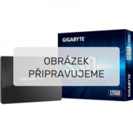 GIGABYTE SSD 120 GB black [GP-GSTFS31120GNTD]