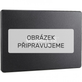 GIGABYTE SSD 1 TB black (GP-GSTFS31100TNTD)